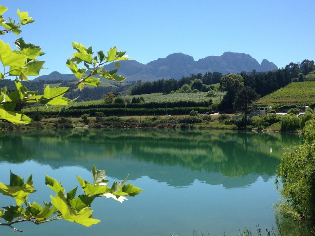 Fynbos Feniks Apartment Stellenbosch Luaran gambar